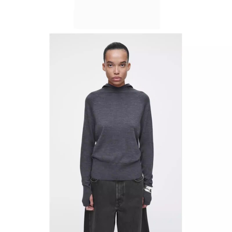 Cs 2026 Autumn and Winter New Women's Clothing Standard Fit Merino Wool Sweater Hoodie 1229681001