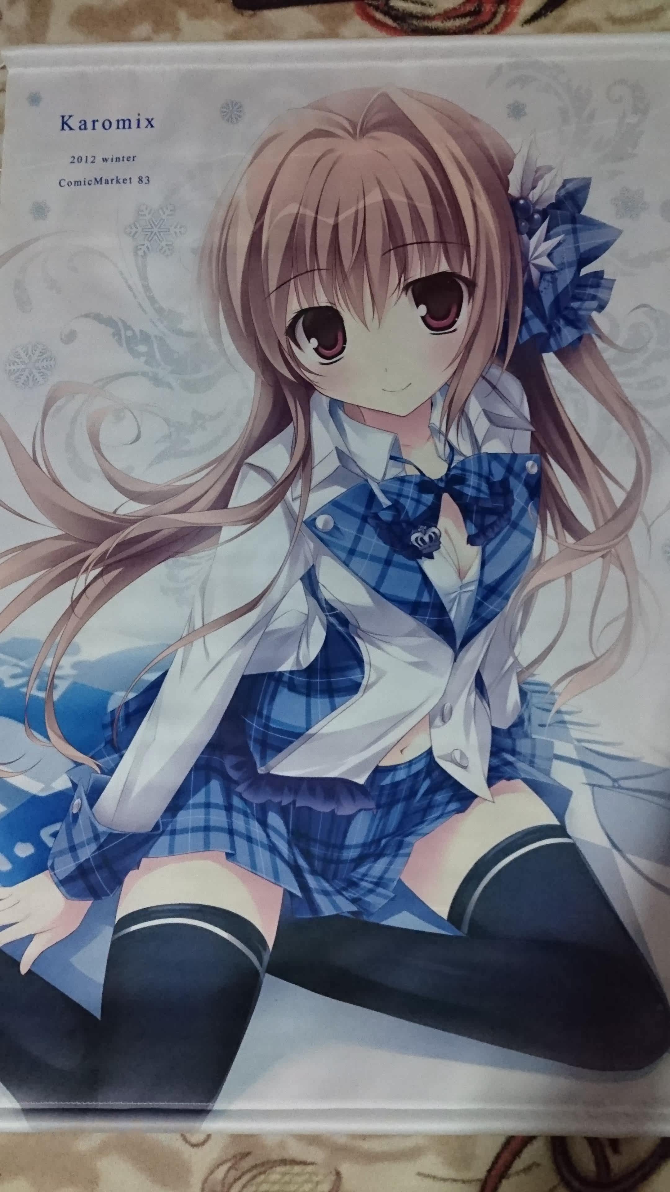 日版現貨 稀有karory 蒼海舞香c會場 虎穴雙限定模型掛畫