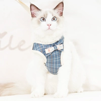 Скрытый зеленый