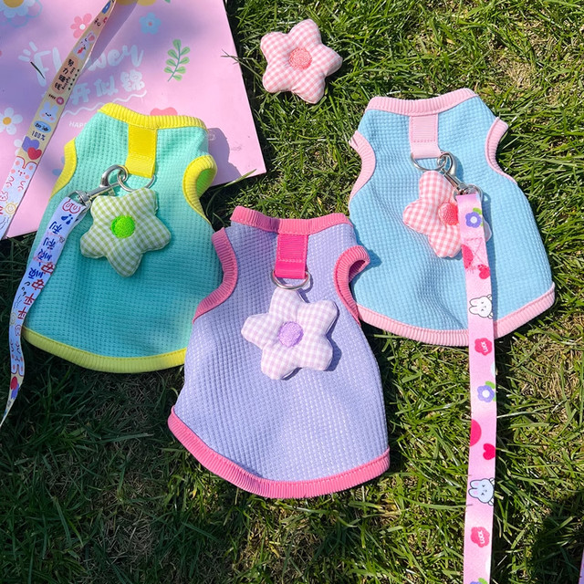 Rabbit Clothes Summer New Style Dwarf Rabbit Lop Rabbit