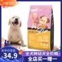 Pet sao chó ăn thức ăn cho chó con nói chung thịt tươi hạt 4 kg tải gấu bông lông vàng labrador chó con husky - Chó Staples thức ăn cho chó mẹ sau sinh