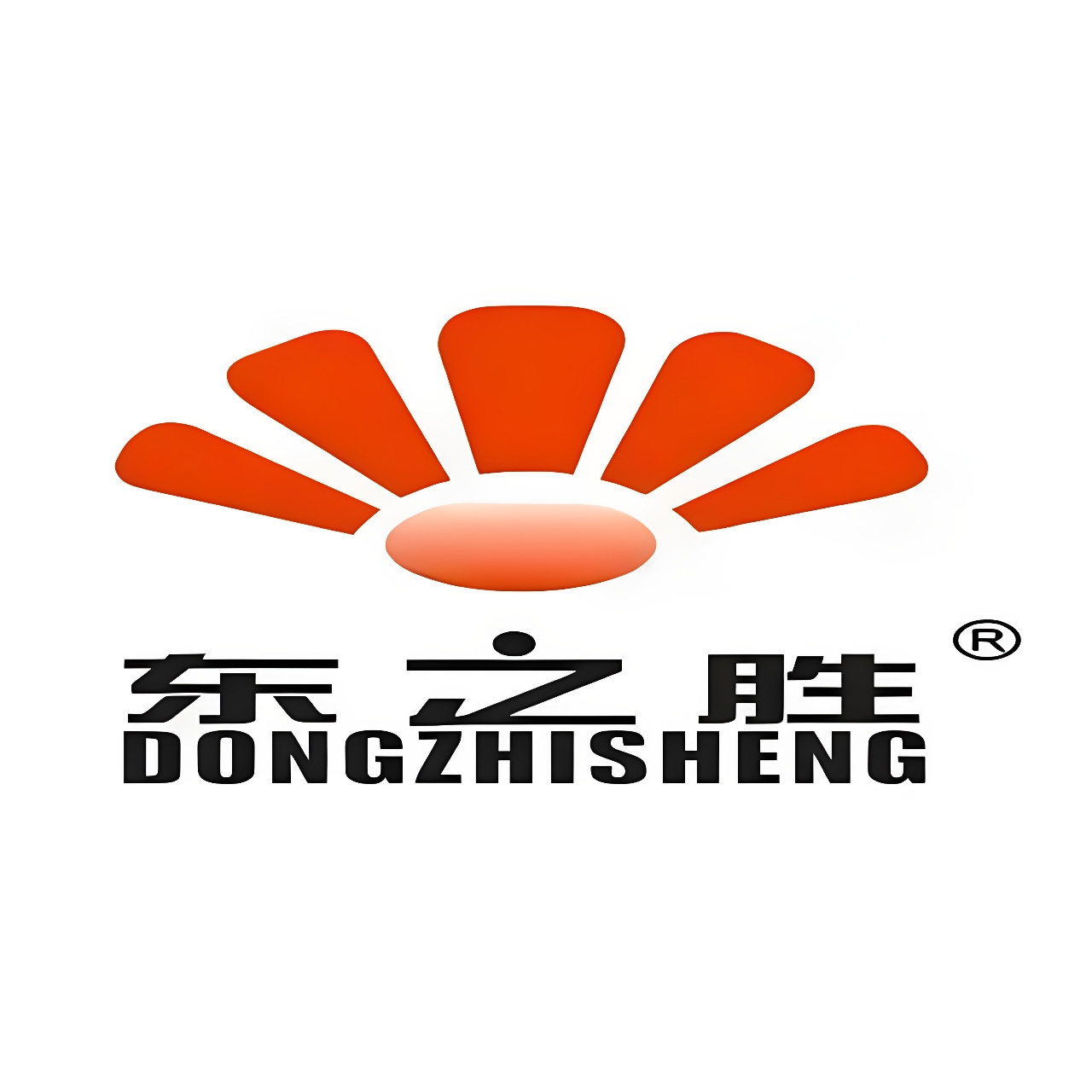 东之胜电器工厂店