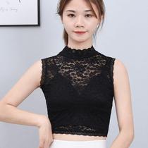 Wild lace base fake collar Womens sweet and sexy inner mesh lace shirt Half high collar bag neck stand collar