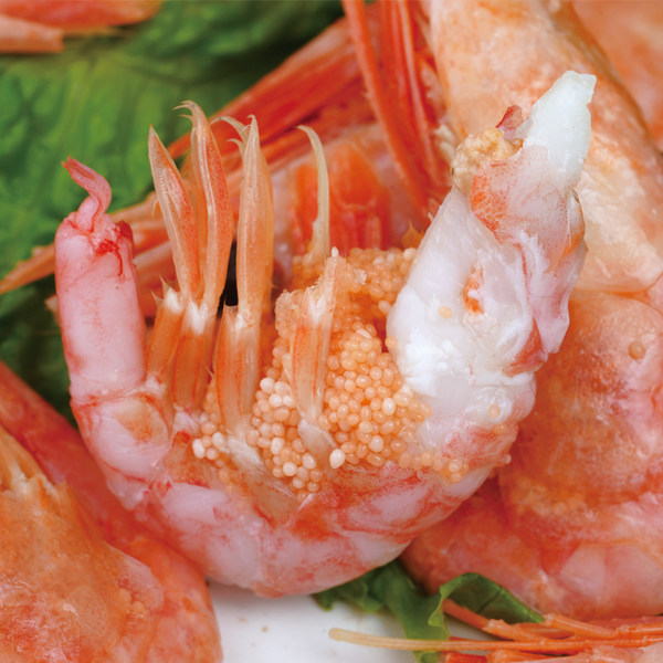 豪鲜品 加拿大北极甜虾腹籽虾 2250g盒装 约90~120只/1000g 天猫优惠券折后￥148包邮（￥218-60）