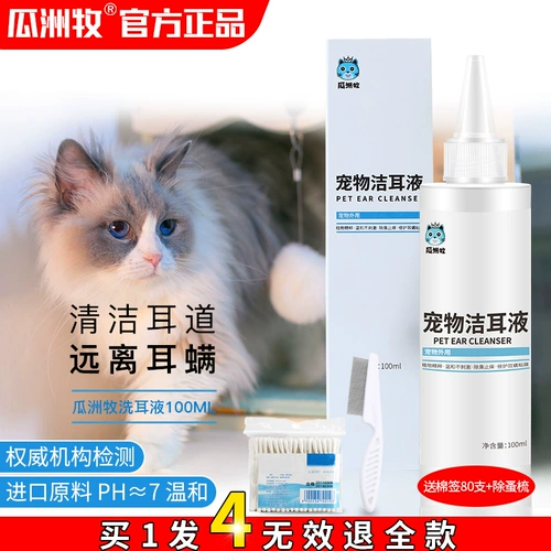 Кошачьи ухой уход