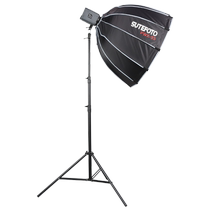 永诺LUX200直播补光灯LED摄影灯绿幕直播间主播抖音卖货打光灯视频服装拍摄球形柔光灯设备全套夜景人像灯