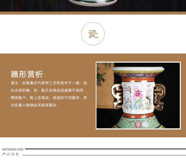 Jingdezhen porcelain in qianlong ears king porcelain paint large vase sitting room adornment penjing collection