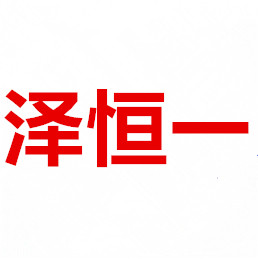 泽恒医疗器械企业店的LOGO