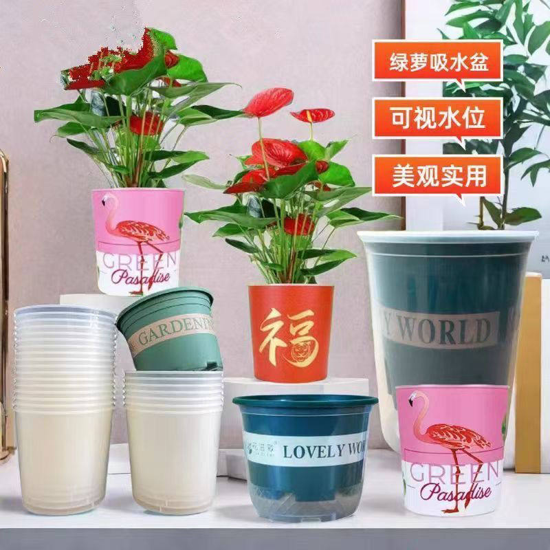 原盆土梦香兰光宗粉色3-4枝花剑盆栽兰花真的适合阳台种植吗？2026阳台养兰趋势了解一下