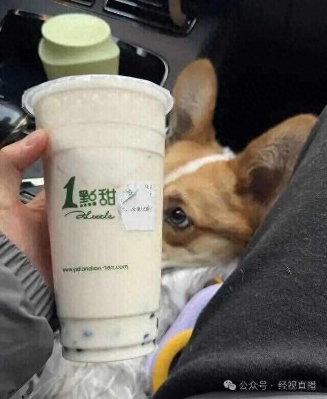 少许点撕开标签是少量甜，康帅傅、雷碧、9个核桃……买到山寨食品如何办。