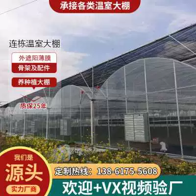 Фабричная шлепая стеклянная пленка с парниковой стальной стейк бабушка скелетные аксессуары овощные наборы