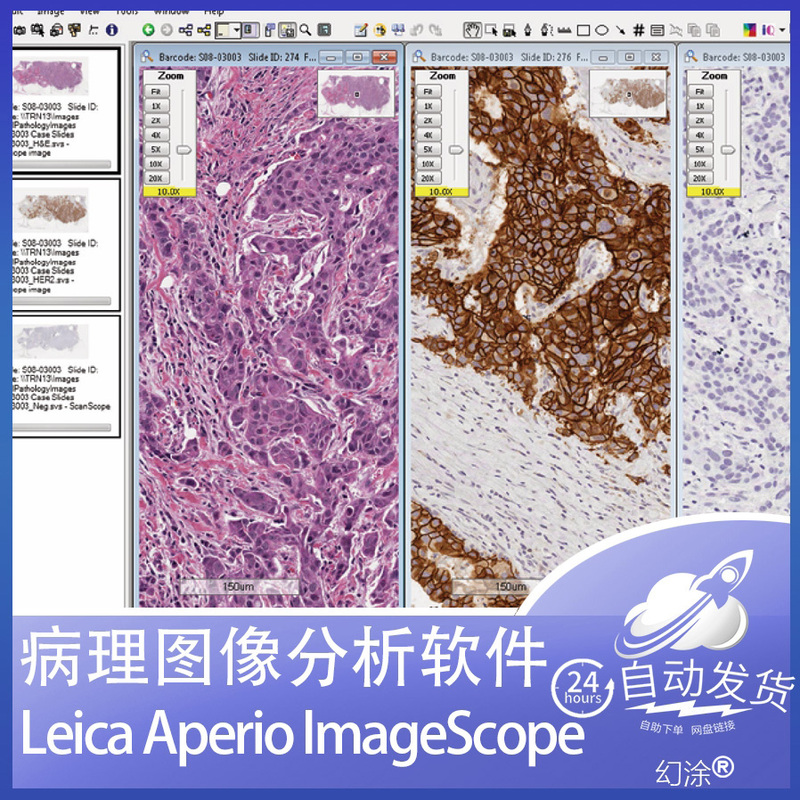 Aperio Leica Imagescope 12.4 Pathology Slide Viewing and Analysis Software + Chinese Manual Aperio Leica Imagescope 12.4 Pathology Slide Viewing and Analysis Software + Chinese Manual