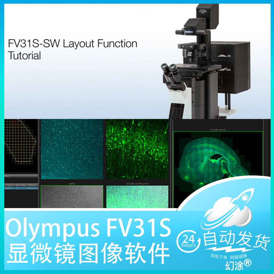 新版2.6 Olympus FV31S-SW Viewer激光共聚焦显微镜图像处理软件