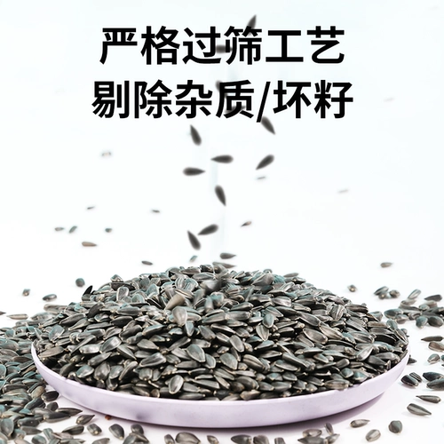 Buka Star Parrot Birds Food Feed Trawing вознаграждение закуски маленькие чернокожи