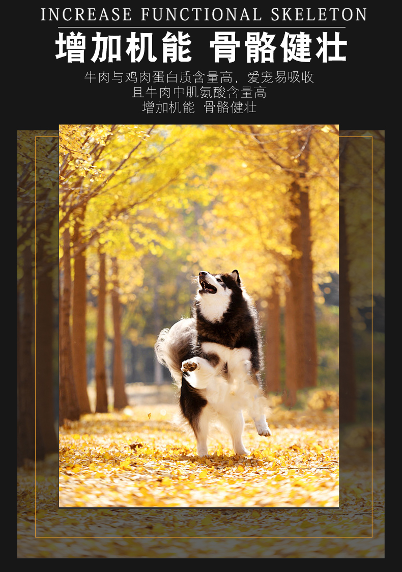 Thức ăn cho chó Weizi nói chung loại 40 kg tải 20kg lông bông vàng Alaska Moyer chó con trung bình và lớn - Chó Staples royal canin cho chó con