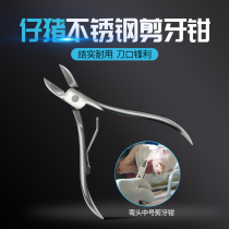 Large number of elbow stainless steel piglet Pig Cut Pliers Rabbit Paparazzi with cut teeth pincers Pet Dog Cub With Broken Teeth Pliers