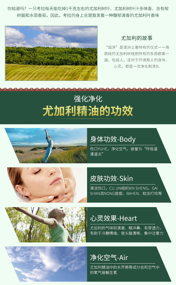 Tinh dầu thơm cây bạch đàn Dotray duy nhất Eucalyptus US doTERRA chính thức trang web chính hãng 15ml - Tinh dầu điều trị dầu tràm