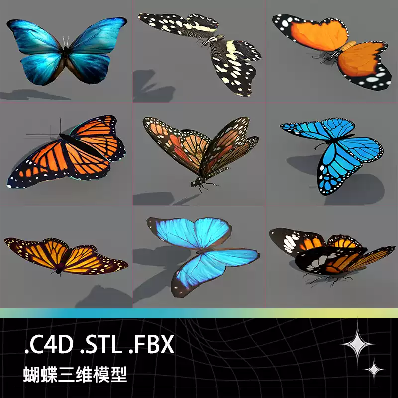 C4D FBX STL飞行动物蝴蝶昆虫带动画三维模型-cg男孩