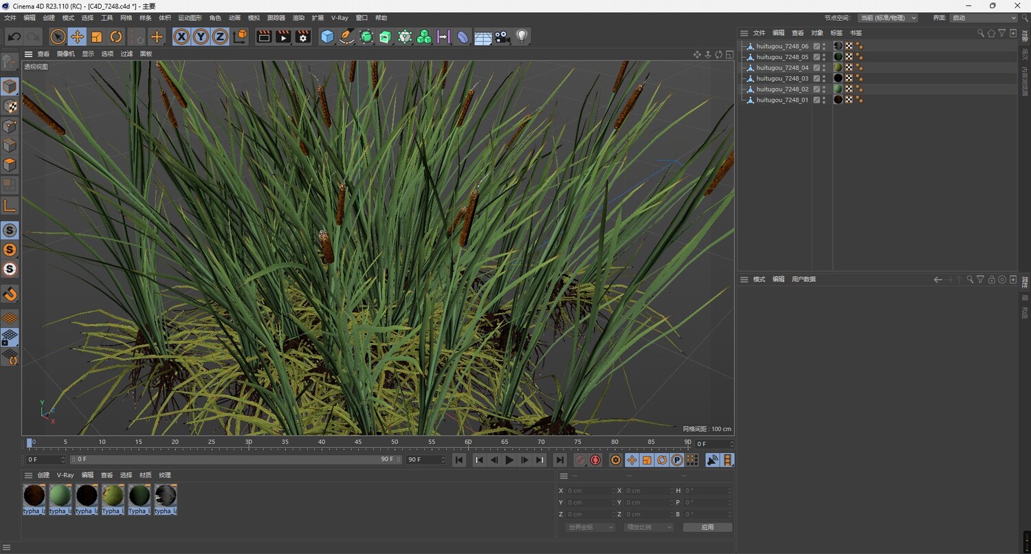 图片[2]-C4D湖泊水边植物FBX芦苇OBJ香蒲场景游戏建模设计素材-cg男孩