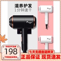 Lienmei electric hair dryer household high-power negative ion Hair Care Net red hair stylist dedicated silent hot and cold air duct