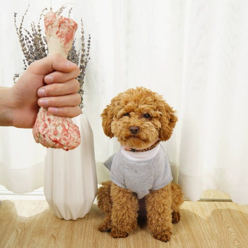 Собачья игрушка плюшевая маленькая собака Золотая ретривера Большой собаки щенки Большие собаки щенки измельчающие зубы и кусание звуковые товары для домашних животных