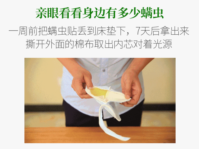 Nhập khẩu nệm Jinyi ngoài túi vào mạt nhân tạo bộ đệm mút chống mite dùng một lần ngoài xịt đờm - Thuốc diệt côn trùng bình đuổi muỗi