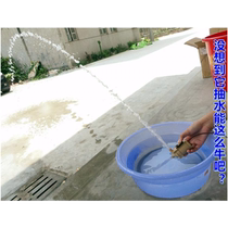 Brushless DC submersible pump 12v-24V high-lift mini submersible pump silent water pump ceramic shaft anti-corrosive water pump 1