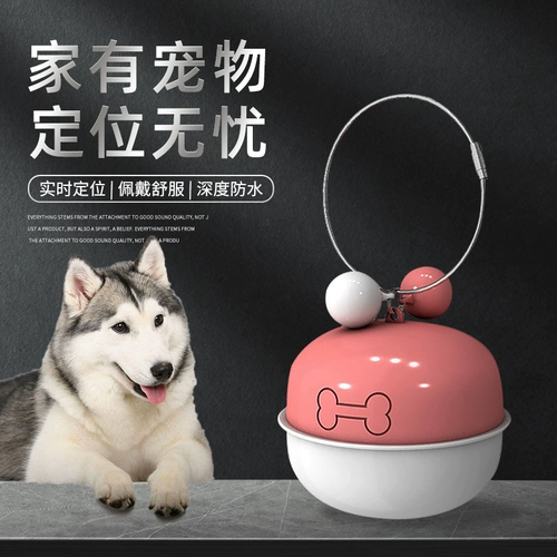 Показатель домашних животных GPS Оборона собаки Отслеживание кошек отслеживание кошек копия домашних животных последователей