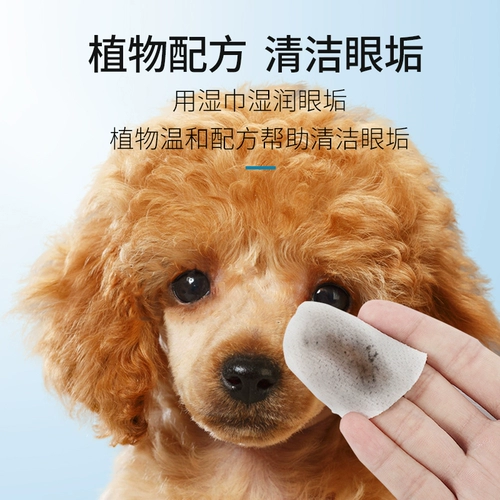 Pet Cat Dog Dog Trace Trace Special Wet Scharf Cat вытирает артефакт garfi net Red Eye Chileing Suppors