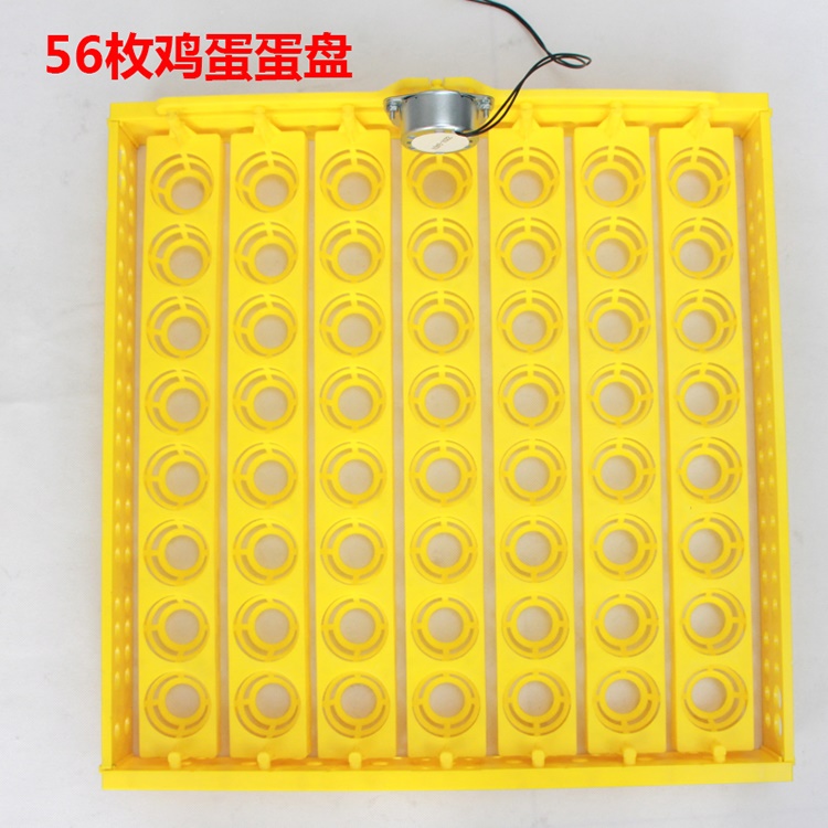 Hatching machine 36 pieces 42 pieces 48 pieces 55 pieces 56 pieces Automatic household small incubator Egg hatcher special egg tray