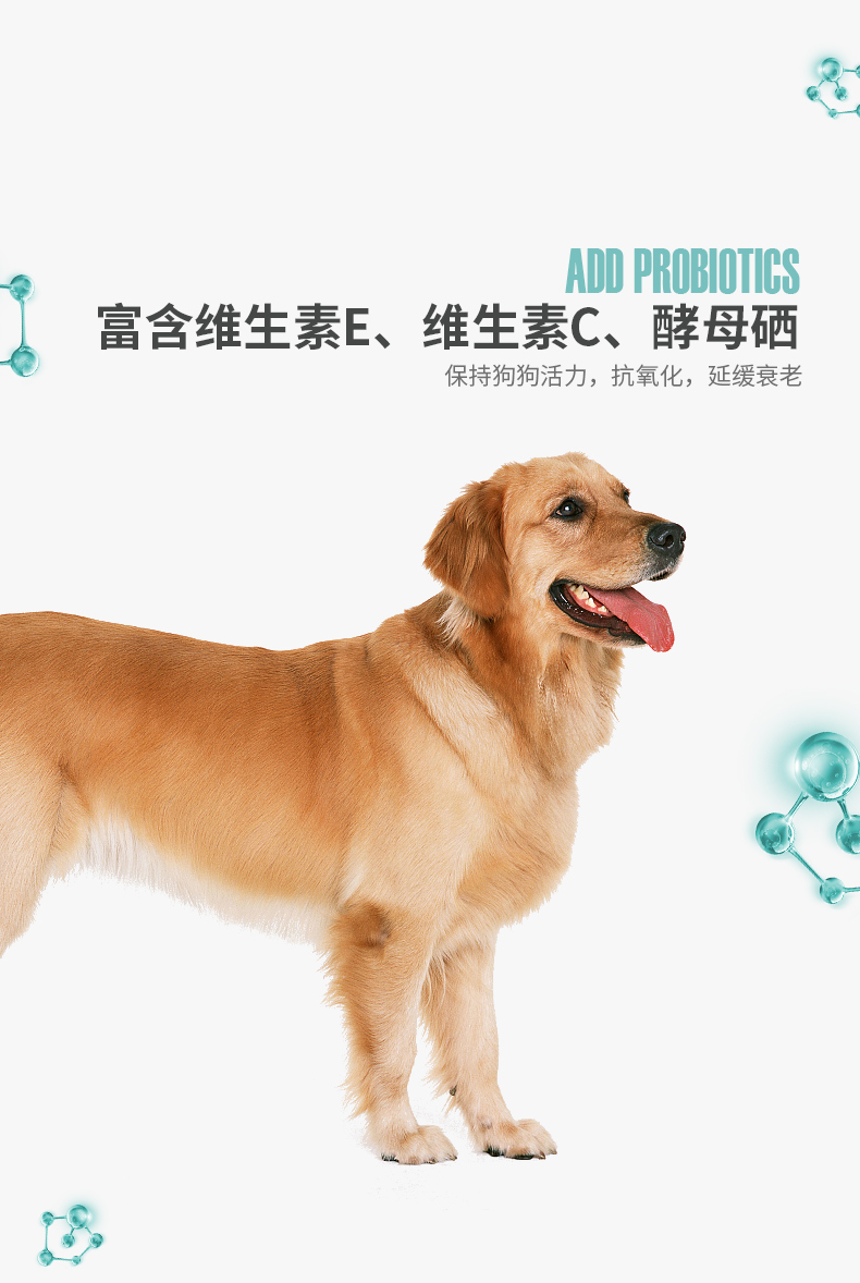 Thức ăn cho chó trưởng thành Duyuk thịt bò thịt bò 40 kg tải 20kg Gói Demu chăn nuôi lông vàng lông thức ăn cho chó nói chung - Chó Staples hạt zenith cho chó con