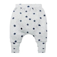 2103 Grey Star [весна и осень]