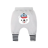 2252 Серые очки медведь [весна и осенний участок]