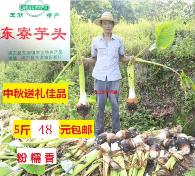 Special fresh jade lake Dongsu taro Penang potato potato potato 5 pounds of old three farmers vegetables