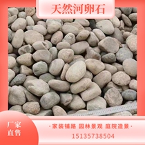 Guangxi river pebbles pebbles and pebble filter materials for substations river pebbles for landscaping and river pebbles for landscaping.