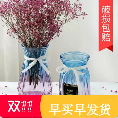 Container vase glass transparent hydroponic gold Ge dry vase insert vase Lily household flower pot full Sky star creative products