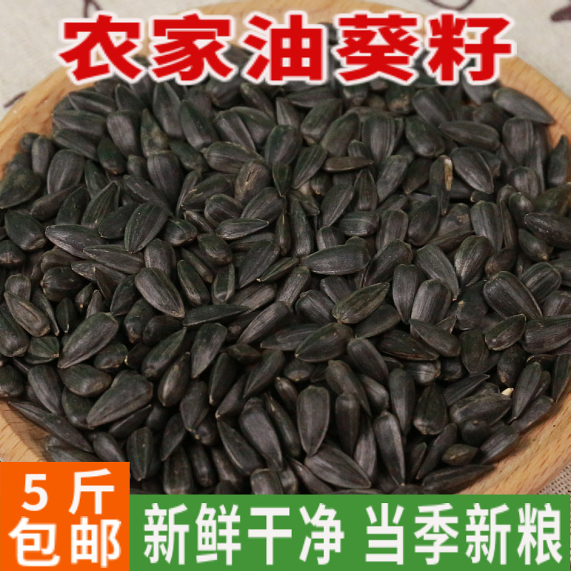 5 pounds of black pearl melon seeds Sunflower seeds Oil sunflower seeds Parrot bird food Hamster snack bird food Pigeon food