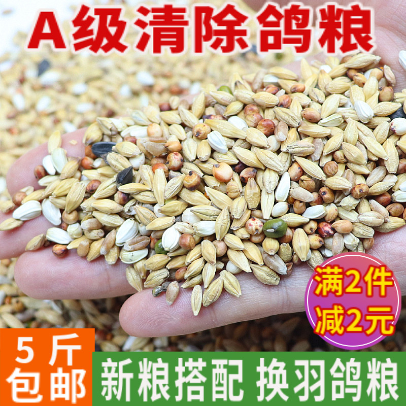 5 kg clear pigeon food feed Carrier pigeons hair change period special young pigeons pigeon food Birds bird food