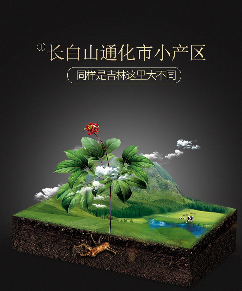 青源堂 长白山无糖红参片 500g 图9