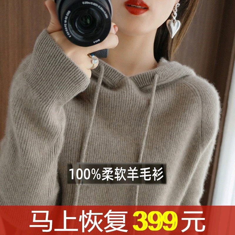 2026 New Autumn and Winter Sweater for Women, Hooded Inner Layer Wool Sweater, Loose Inner Layer Base Knit Hooded Wool Sweater