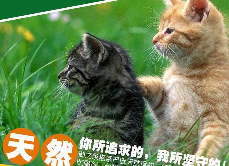 Vật nuôi mèo bản địa Gonojo 6 liên kết 18 miếng với taurine được thêm vào răng hàm thành đồ ăn nhẹ cho mèo con - Đồ ăn nhẹ cho mèo