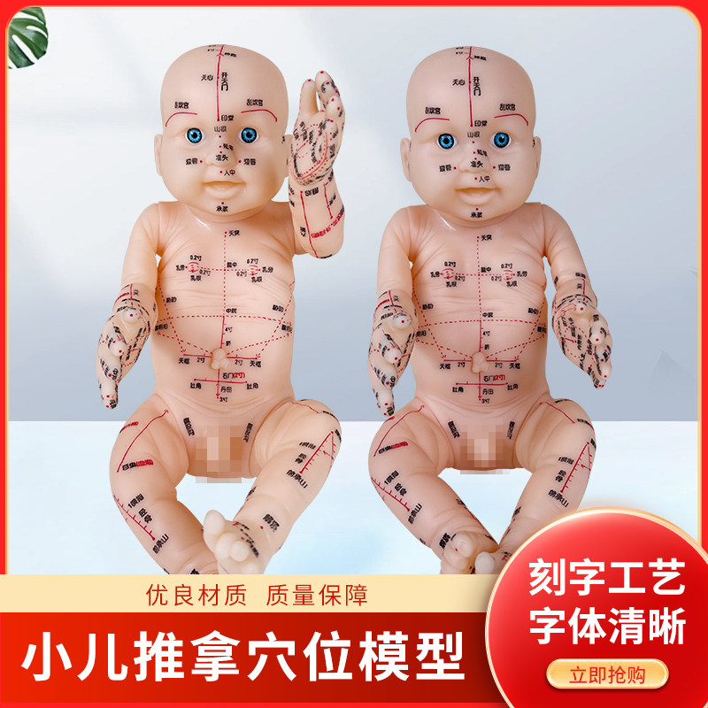 小儿推拿模型穴位按摩仿真软胶婴儿人体模型经络中医