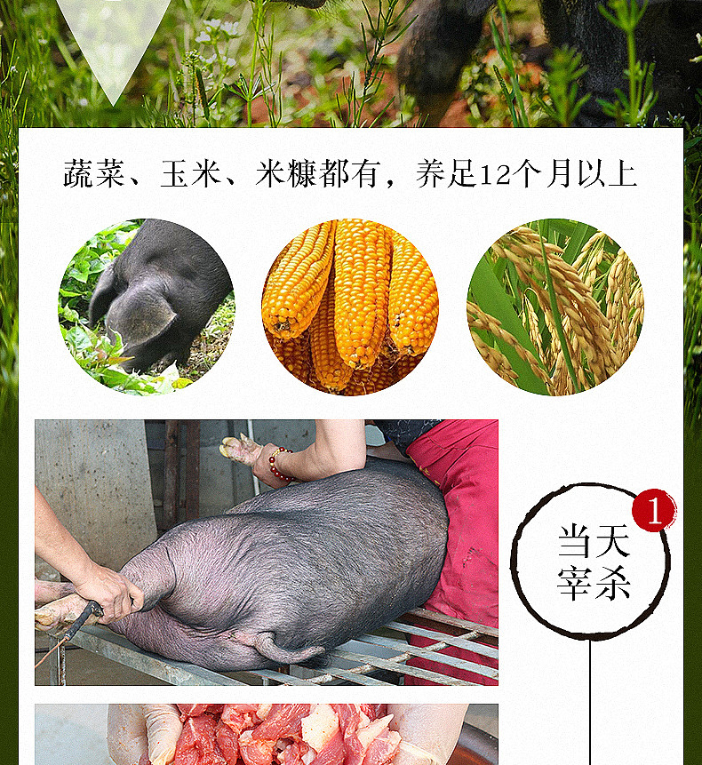 鲸珍 川味/五香/广味 纯肉烟熏肠 500g 图4