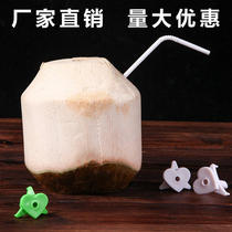 Manufacturer of portable and practical coconut opening tools plastic fruit hole openers girls can also use coconut openers