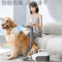 Large dog golden retriever water blower hair dryer hair dryer all-in-one bath special artifact blowing hair