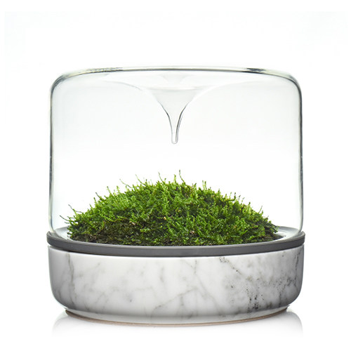 Geonature Momo-M Geometric Nature Medium Moss Landscape Bottle Marble Base