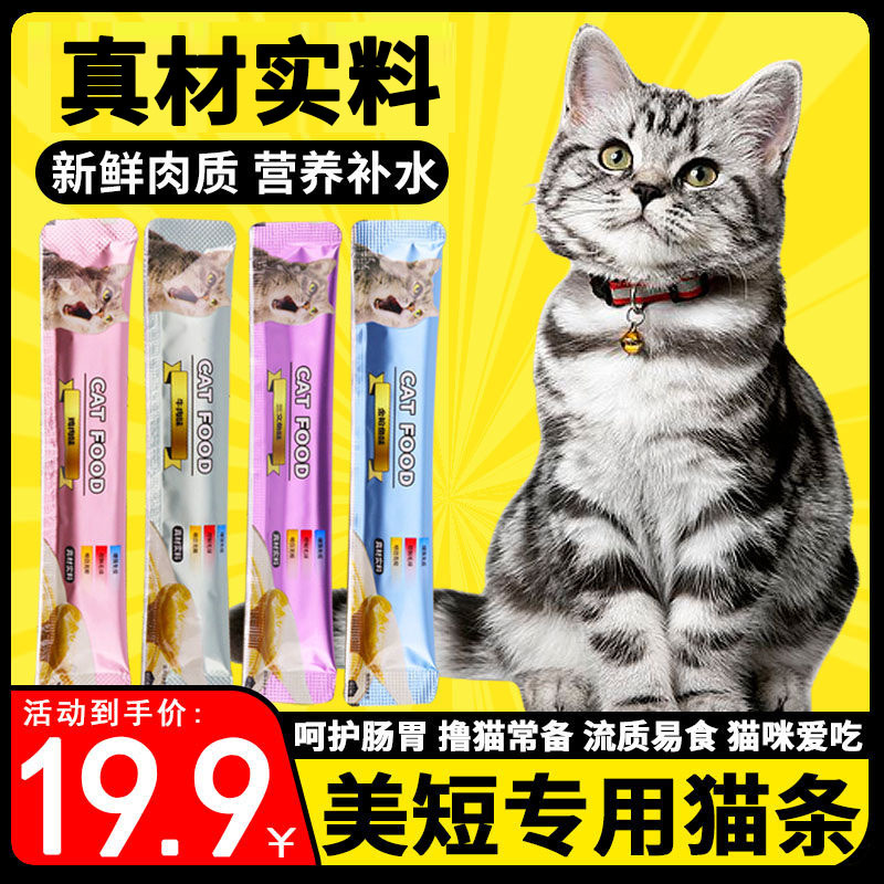 Special Cat Treats for American Shorthair Tabby Cats, Food for Kittens, Cat Food for Three-Month-Old Kittens, Kitten Snacks, Kitten Food