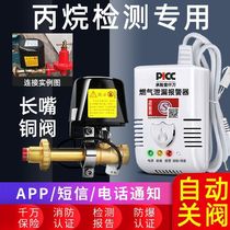 Gas leak alarm one-to-two commercial home kitchen catering natural liquefied gas fire gas alarm