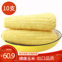 Suikang corn waxy corn Fresh freshly picked export products Sweet corn cob sticky corn Non-GMO white waxy 10 sticks