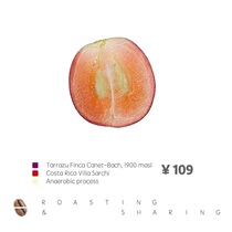  XYZ Costa Rica Baja Anaerobic fermented honey treatment Freshly baked boutique hand-brewed coffee